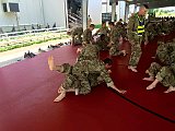 2016-07-30 Combatives 03